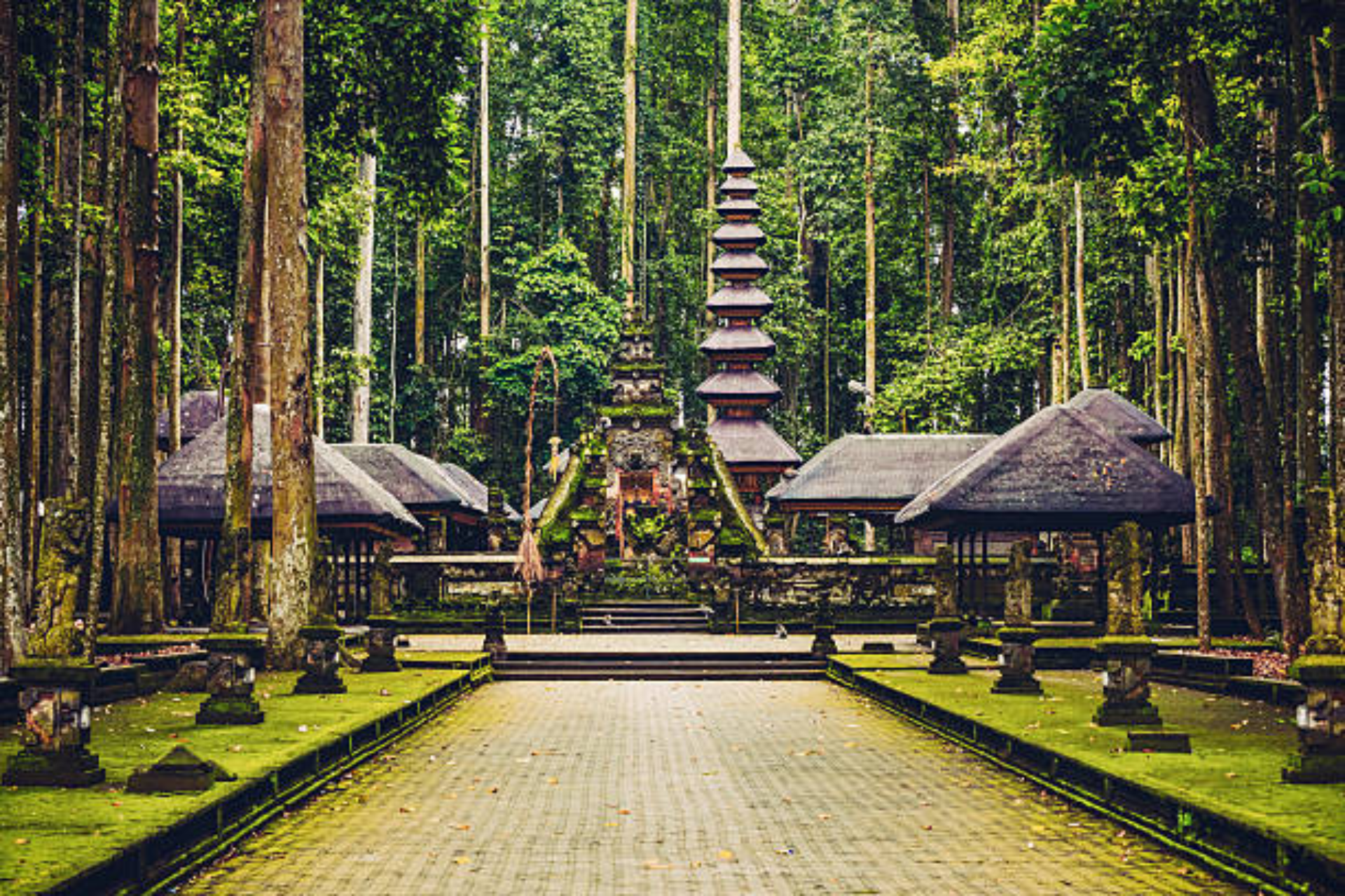 Sacred Monkey Forest