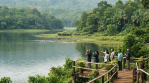 wildlife travel photograph in the Periyar region of Thekkady, Kerala, showing a lush tropical forest surrounding a peaceful lake with realistic native wildlife